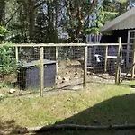 6 Person In