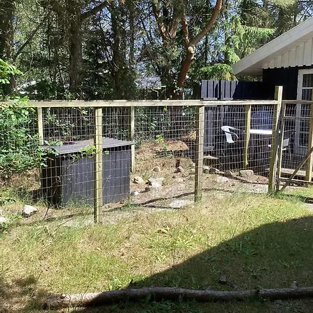 6 Person In